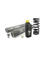 BLACK-T progressive replacement springs for Ducati SCRAMBLER Desert Sled 2017 - 2020