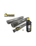 Progressive fork springs for BMW G310R (2016 – 2022)